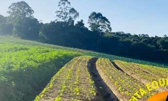 Imagem 5: Terreno em Ibiúna com Fácil Acesso a Cotia - SP