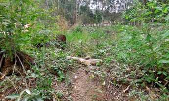 Imagem 5: Atibaia - Terreno Padrão - Bosque dos Eucalíptos