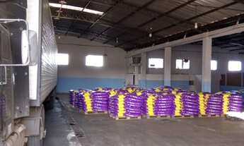 Imagem 3: Aluga se galpão