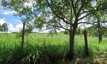 Imagem 5: Sitio próximo da cidade de Botucatu-SP, há apenas 300mts do asfalto