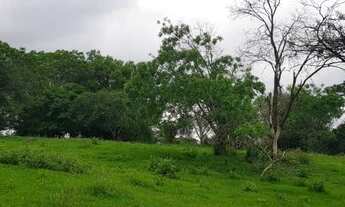Imagem 5: No bairro Área Rural em Presidente Prudente