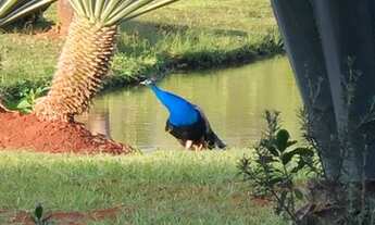 Imagem 3: Passeio, fotos e pesca