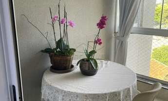 Imagem 7: Toledo - Apartamento - Jardim Santa Maria