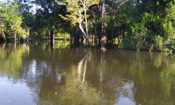 Imagem 5: Vendo um sítio Chácara com venda por R$250.000