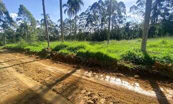 Imagem 3: Lote/Terreno para venda tem 1000 metros quadrados em Jardim Felicidade (Zona Norte) - São
