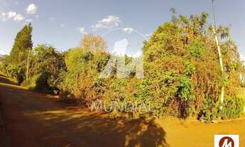 Imagem 2: Chacara (chacara