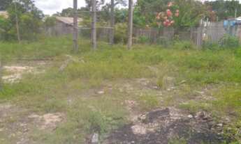 Imagem: Terreno no bairro Mararu