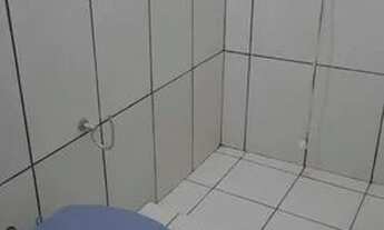 Imagem 2: Apt coroa grande