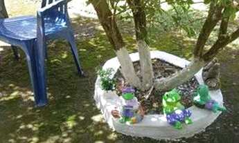 Imagem: Aluguel ou venda