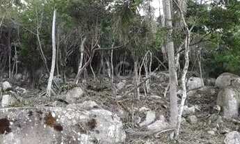 Imagem 4: Terreno para Venda - 0m², 0 dormitórios, Gamboa, Garopaba