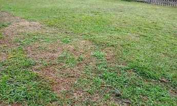 Imagem 4: Vende esta casa Casa com 2 dormitórios