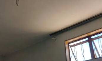 Imagem 6: Kintnet no jardim Guanabara