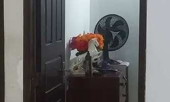 Imagem 2: Imóvel Apartamento com 2 dormitórios