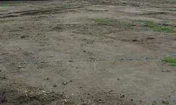 Imagem 5: Lote Casa com venda com preço sob consulta