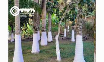 Imagem 6: Sítio à venda em Sete Barras - SP