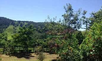 Imagem 2: Sítio com 2 dormitórios à venda, 48000 m² por R$ 1.520.000,00 - Centro - Santo Antônio do