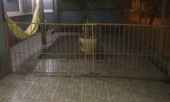 Imagem 7: Linda casa de Esquina no Bairro São José. Canoas