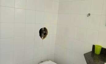 Imagem 7: Vendo Casarão em Grussaí com vista para o mar