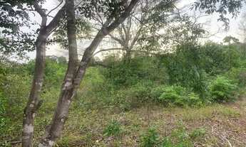 Imagem 2: Vendo terreno no maracujá