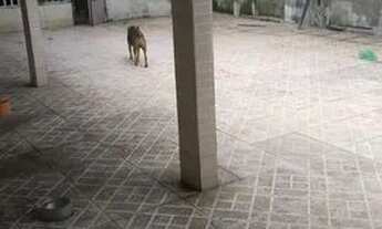 Imagem 6: Casa comercial centro de Vila Velha