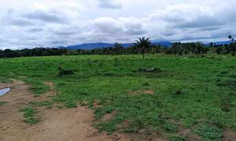 Imagem 3: Excelente fazenda, de 2.035 hec, RR