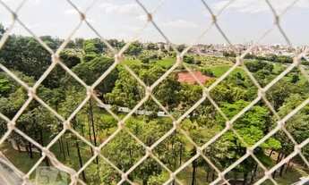 Imagem 7: Apartamento para Aluguel - Vila Nova Cachoeirinha, 2 Quartos, 49 m2