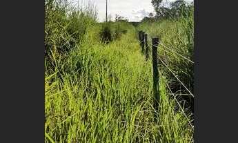 Imagem 5: Vendo ou troco Chácara com venda por R$220.000