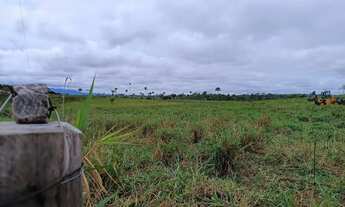 Imagem 4: Excelente fazenda, de 2.035 hec, RR