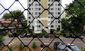 Imagem 5: Apartamento para Aluguel - Brás, 2 Quartos, 50 m2