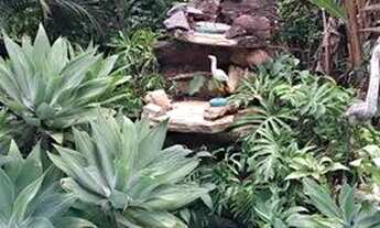 Imagem 2: Chácara para alugar