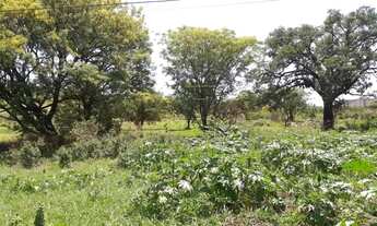 Imagem: Terreno Padrão em Bauru