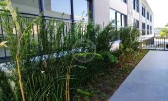 Imagem 3: FLORIANóPOLIS - Padrão - Campeche