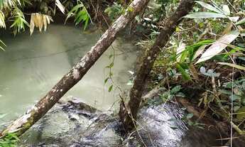 Imagem 7: Fazenda Agropecuária com 2500 ha em Nova Lacerda - MT
