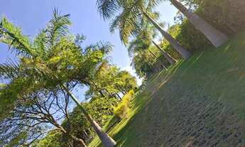 Imagem: CHÁCARA À VENDA 43.333 M² DE PURA TRANQUILIDADE