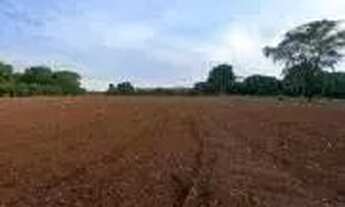 Imagem 4: Fazenda a venda, em Cocalzinho de Goias!!!