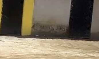 Imagem 3: VENDE-SE ESSA CASA