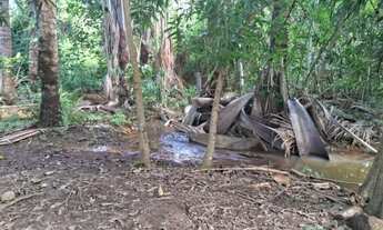 Imagem 7: FAZENDA 222 ALQUEIRES EM PORANGATU GO