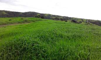 Imagem 2: Fazenda de 250 alqueires cocalzinho-go