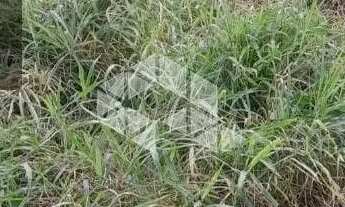 Imagem 3: Terreno 400m² no Rio Vermelho