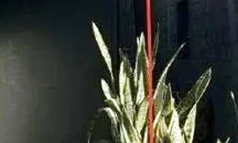 Imagem 7: OPORTUNIDADE, KITNET EM VÃO LIVRE, REFORMADA, PRÉDIO COM ELEVADOR EM ÓTIMA LOCALIZAÇÃO!