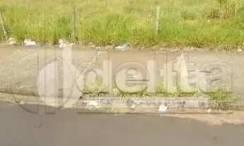 Imagem 2: Área com 2.100m² disponível para venda no bairro Residencial Pequis em Uberlândia-MG