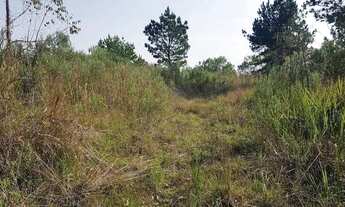 Imagem 5: Área Rural 7,72 Alqueires - 3 Barras de Cima!