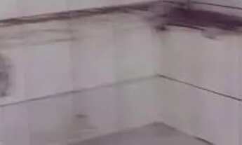 Imagem 5: COMERCIAL - SANTA MARIA - SP