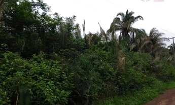 Imagem 7: Área rural à venda, Maranhão Novo, São Luís
