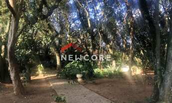 Imagem 5: Galpão em Via Desembargador Luiz Carlos de Araújo - Pinhal - Cabreúva/SP