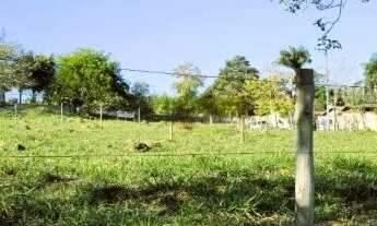 Imagem 6: Oportunidade Terreno de 982 m2 próximo Hotel Mazzaropi