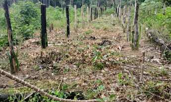 Imagem 5: Sítio 200 de largura por 1000 de fundo