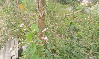 Imagem 3: Lindo terreno abaixo do valor de mercado apenas 47 mil reais