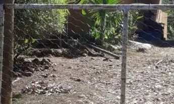 Imagem 3: CHACARA A VENDA Chácara com venda por R$280.000