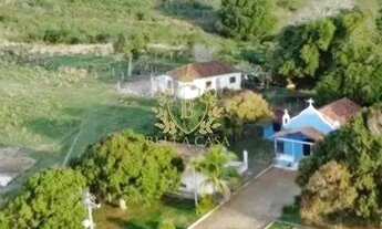 Imagem 5: Fazenda com 27 alqueires à Venda por R$ 2.800.000,00 - Banqueiros - São Vicente de Paula